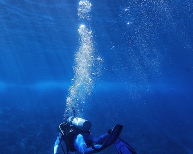 underwater photography of diver during daytime