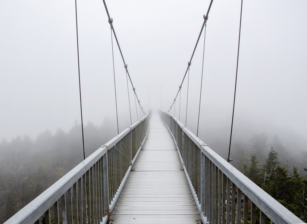 a suspension bridge in the middle of a foggy forest