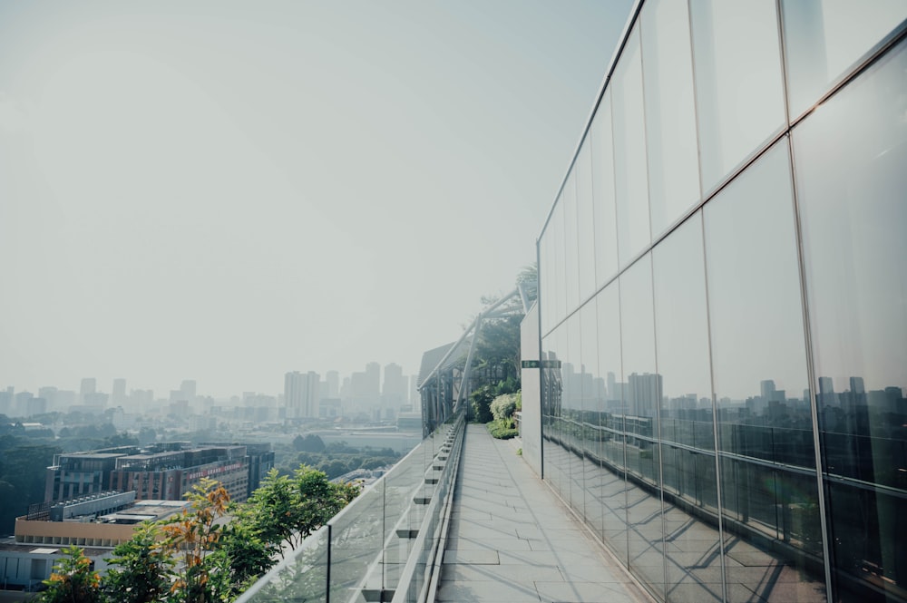 a view of a city from the top of a building