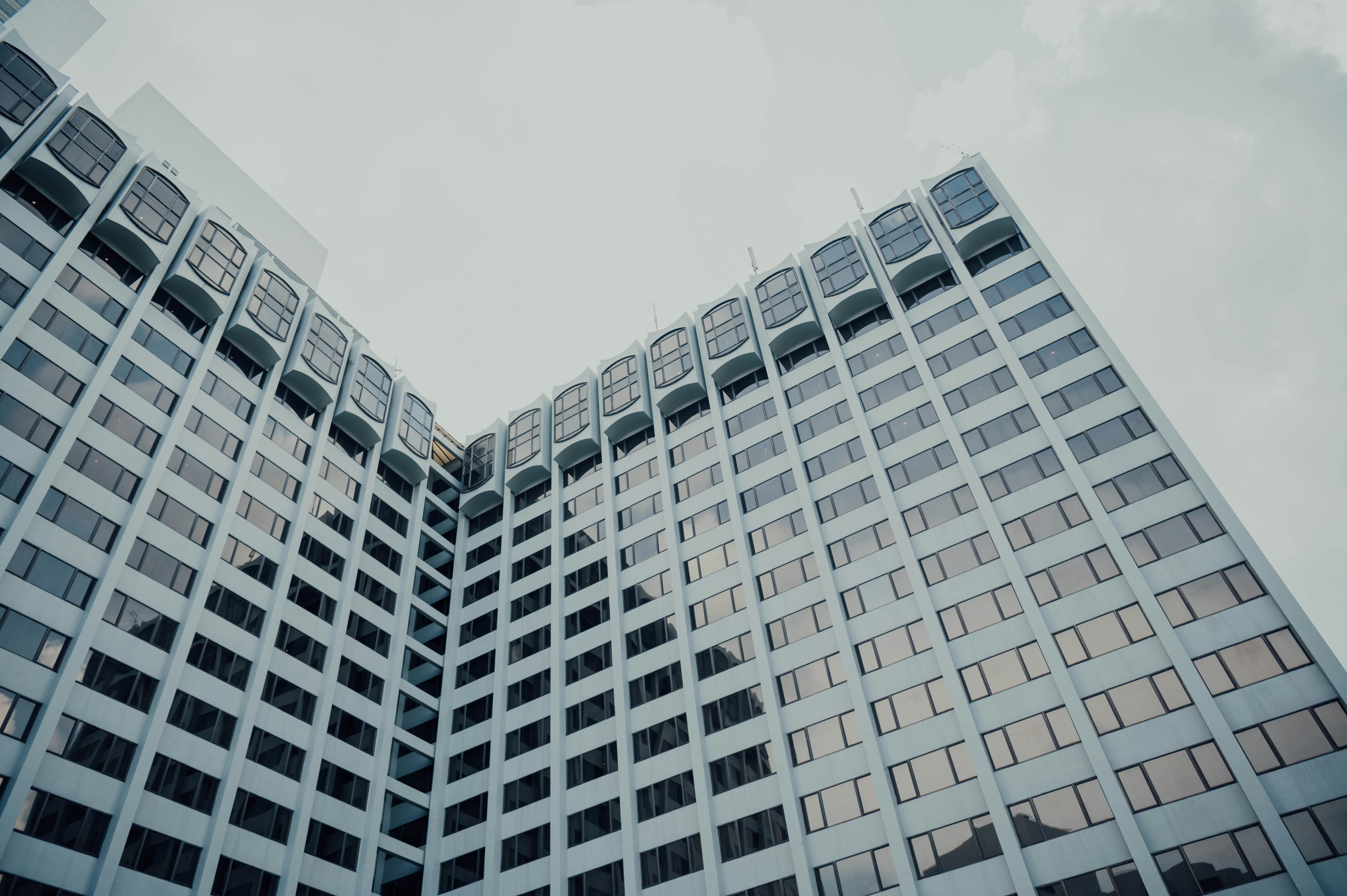 Photo by chuttersnap