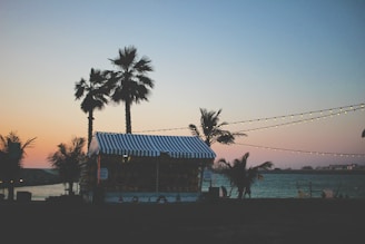 A small beach-side shack with a striped roof is surrounded by palm trees during a sunset. String lights hang above the area, while a calm body of water is seen in the background, along with distant structures.
