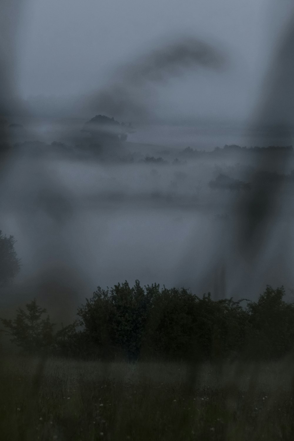 a foggy field with trees in the distance