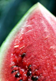 Close-up of freshly squeezed watermelon juice with droplets on the glass.