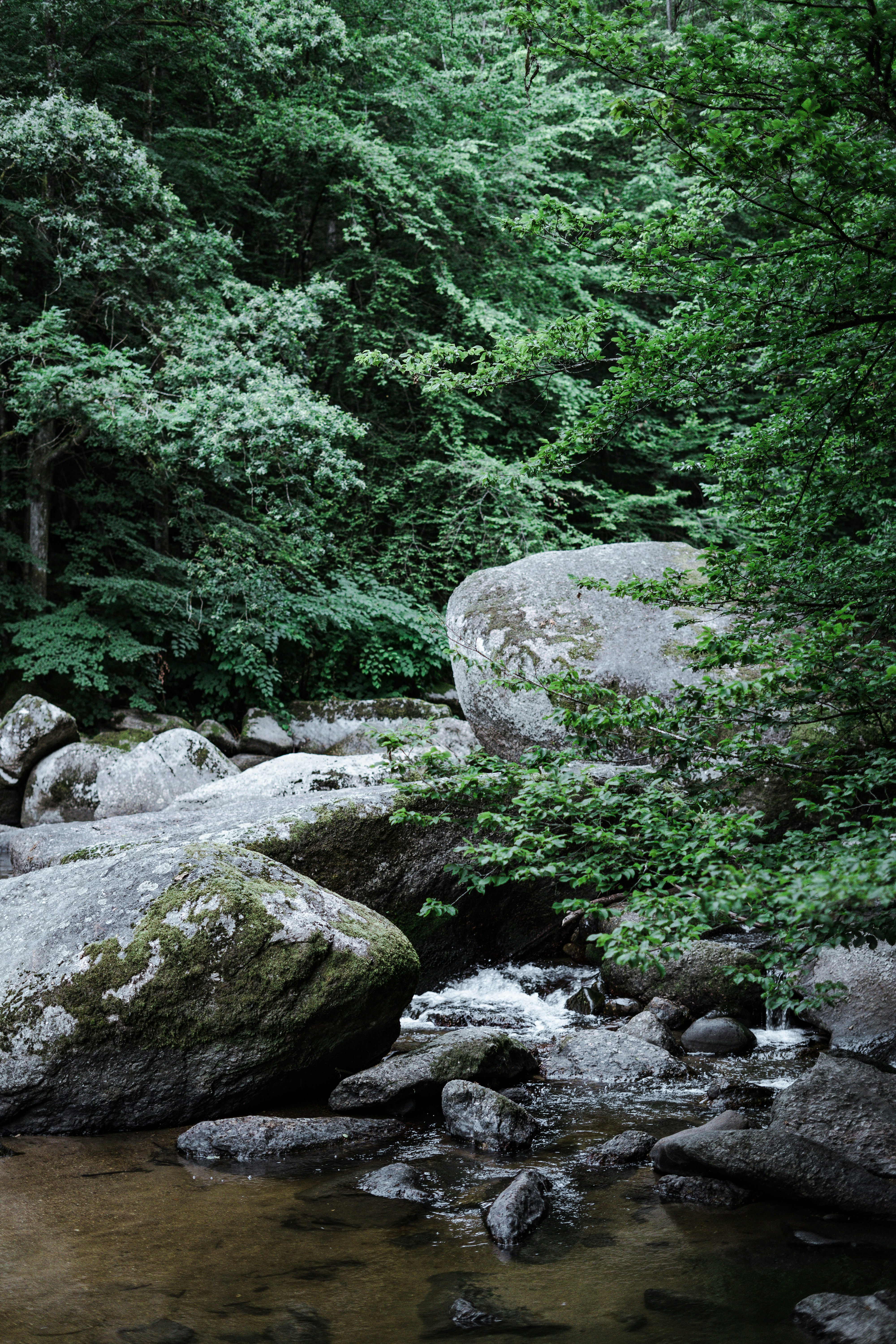 Photo by leoniezettl