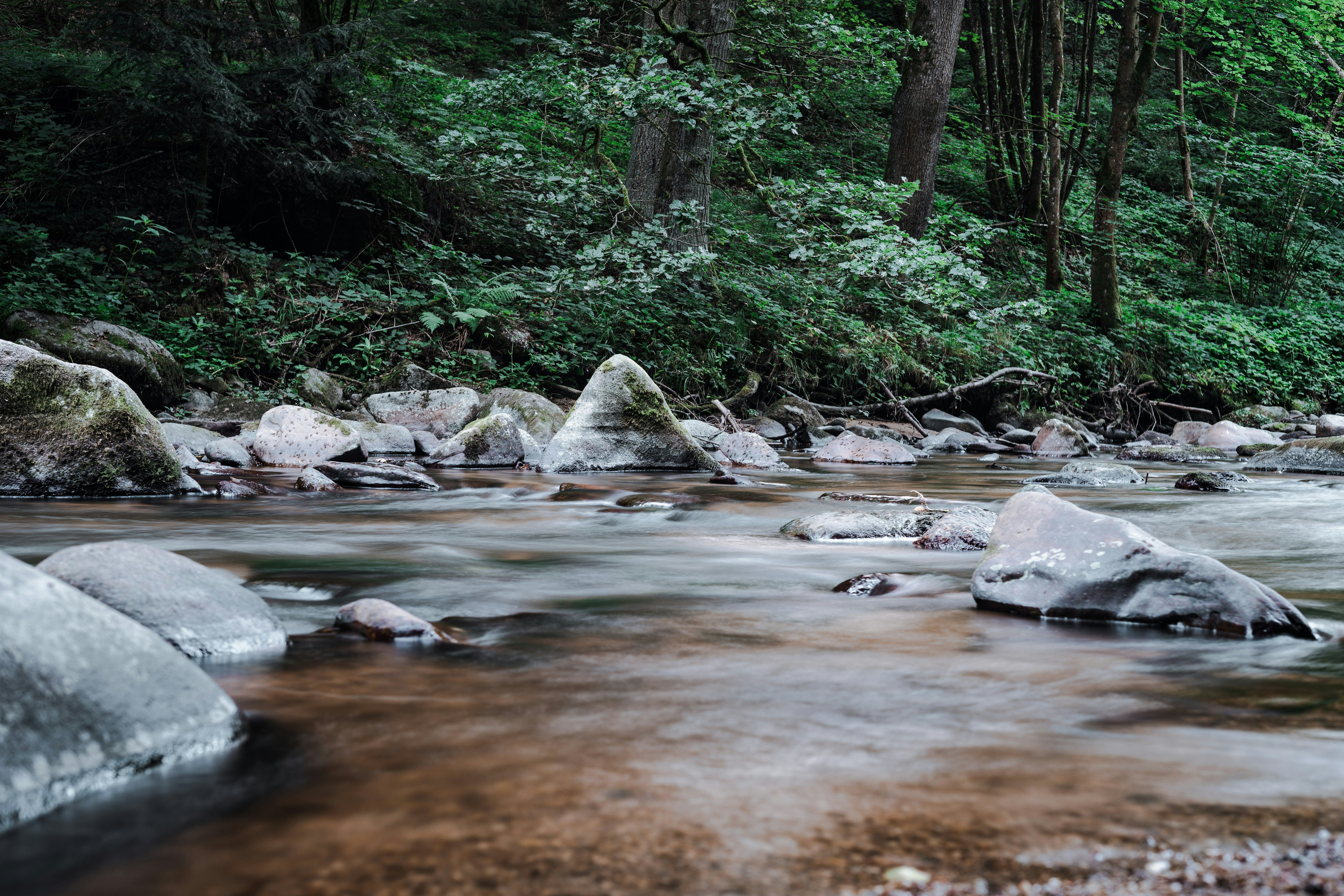 Photo by leoniezettl