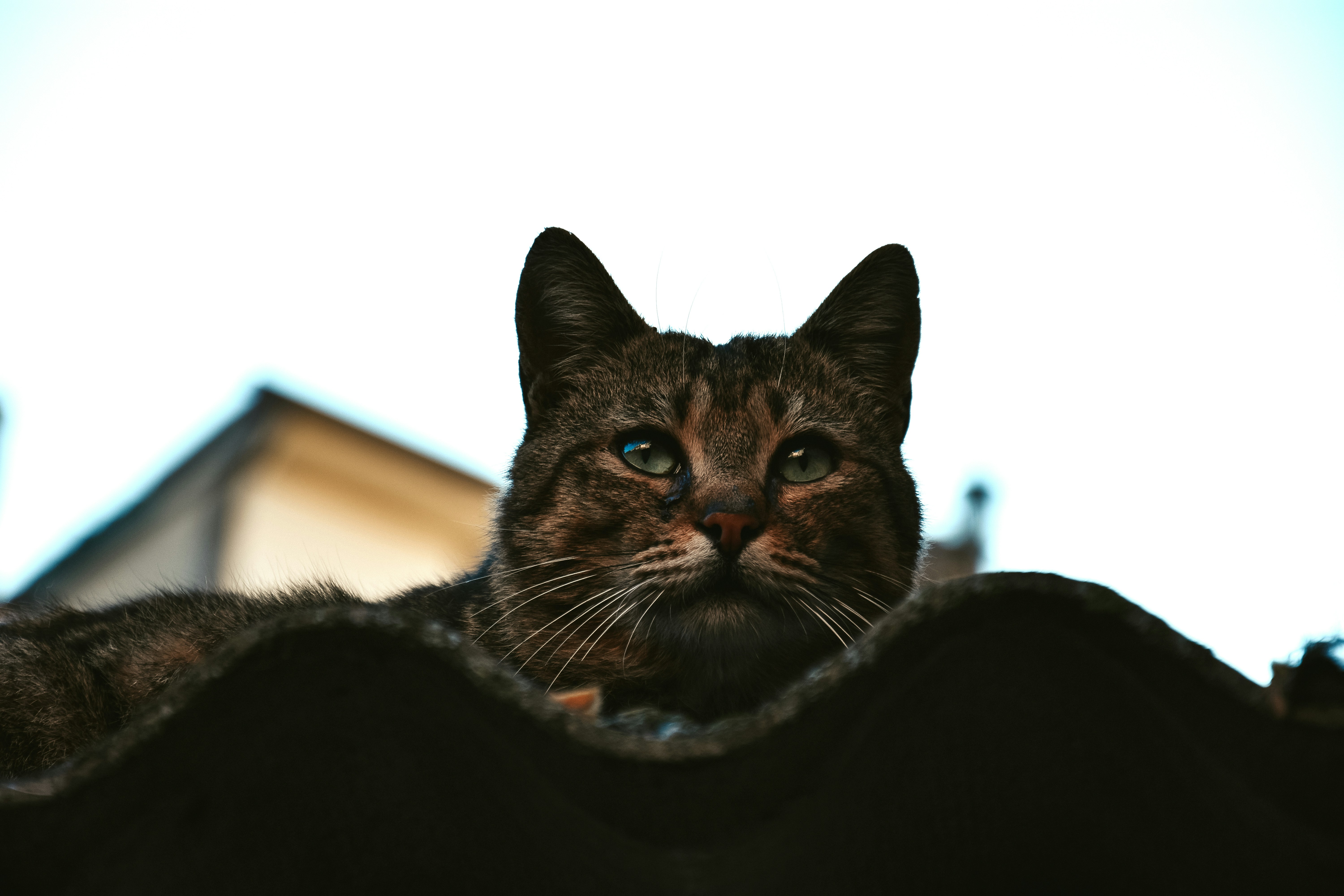 Photo by tetiana_martynenko