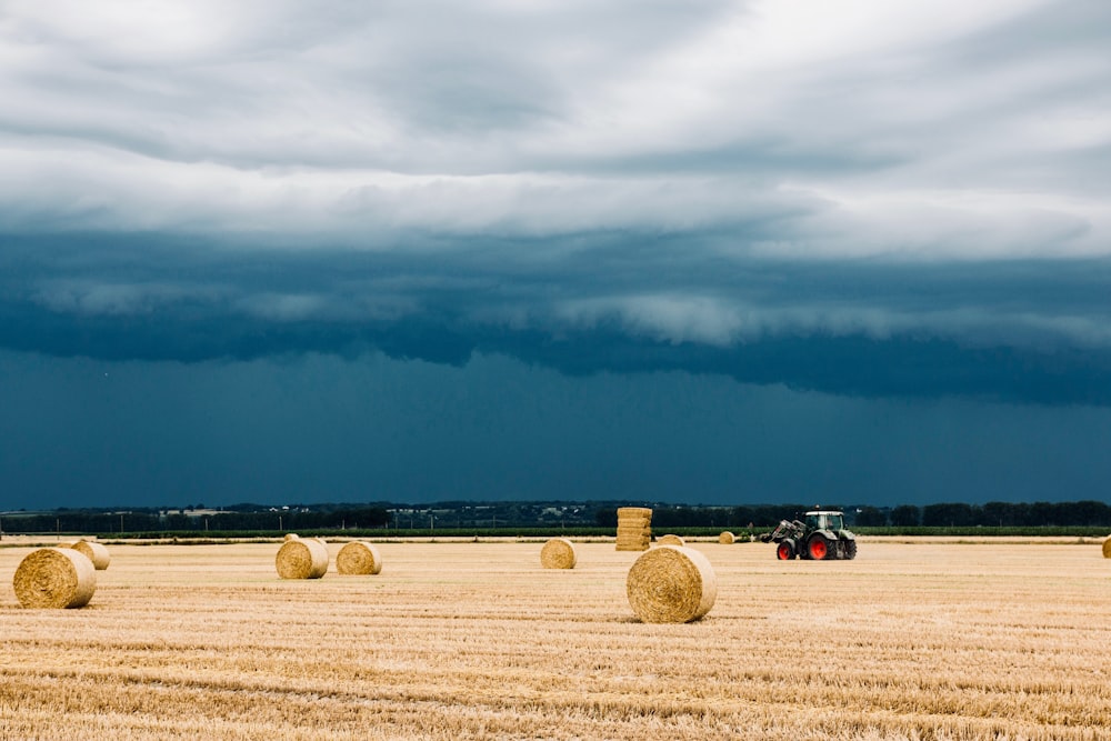 brown hays on brown fields under cloudy sky digital wallpaper