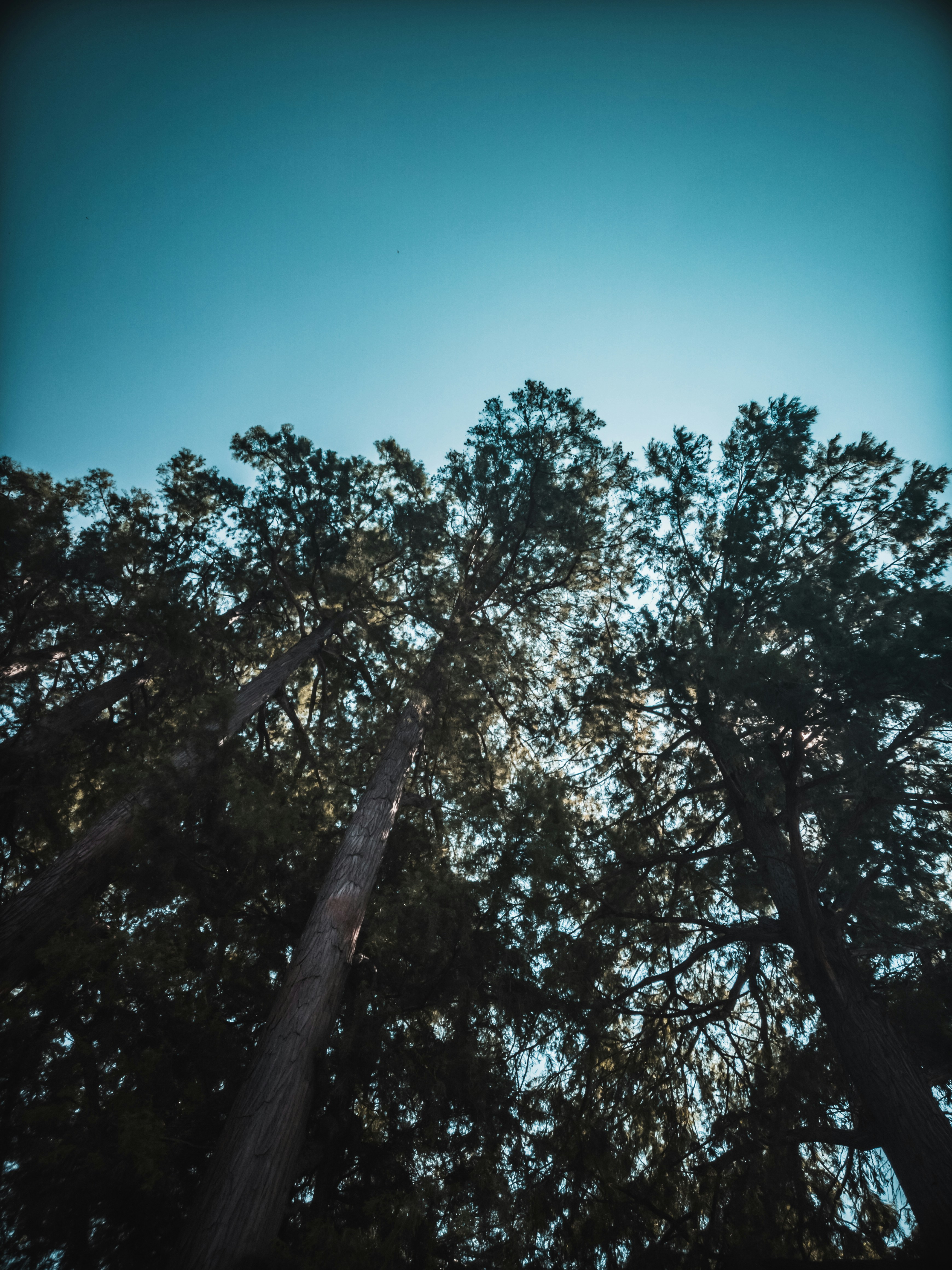 Photo by valentinlacoste