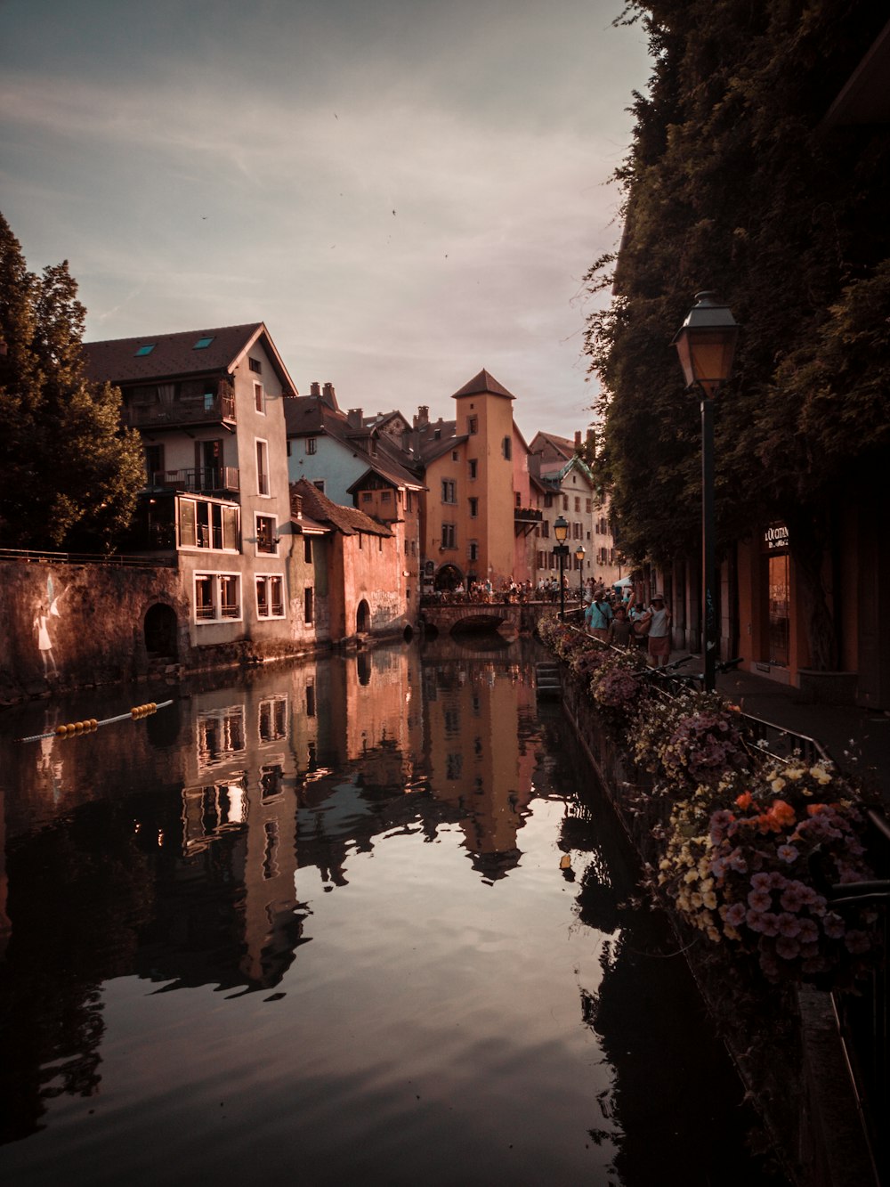 brown concrete houses near river during daytime