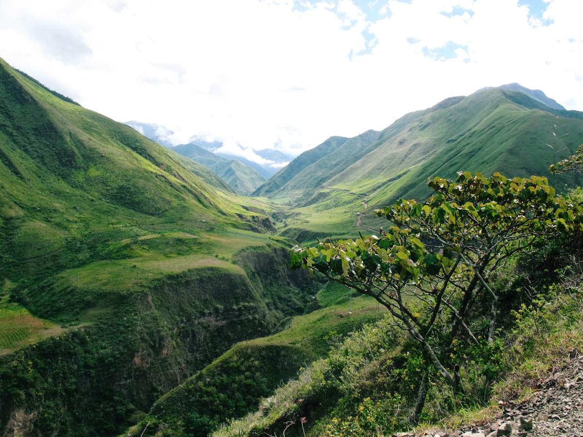 Ecuador Mindo cloud forest nature