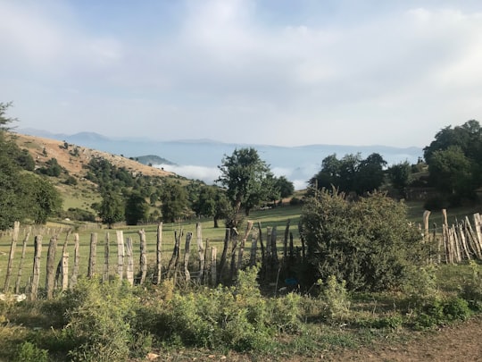 farm near forest in Gilan Province Iran