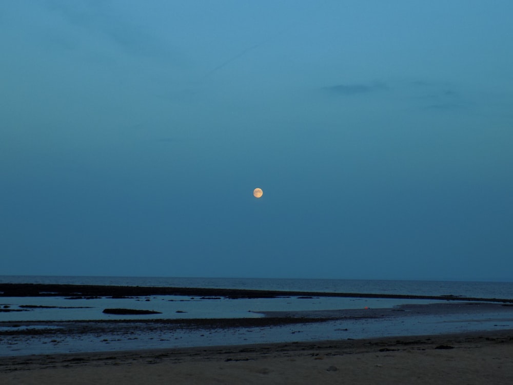 photography of seashore during sunset