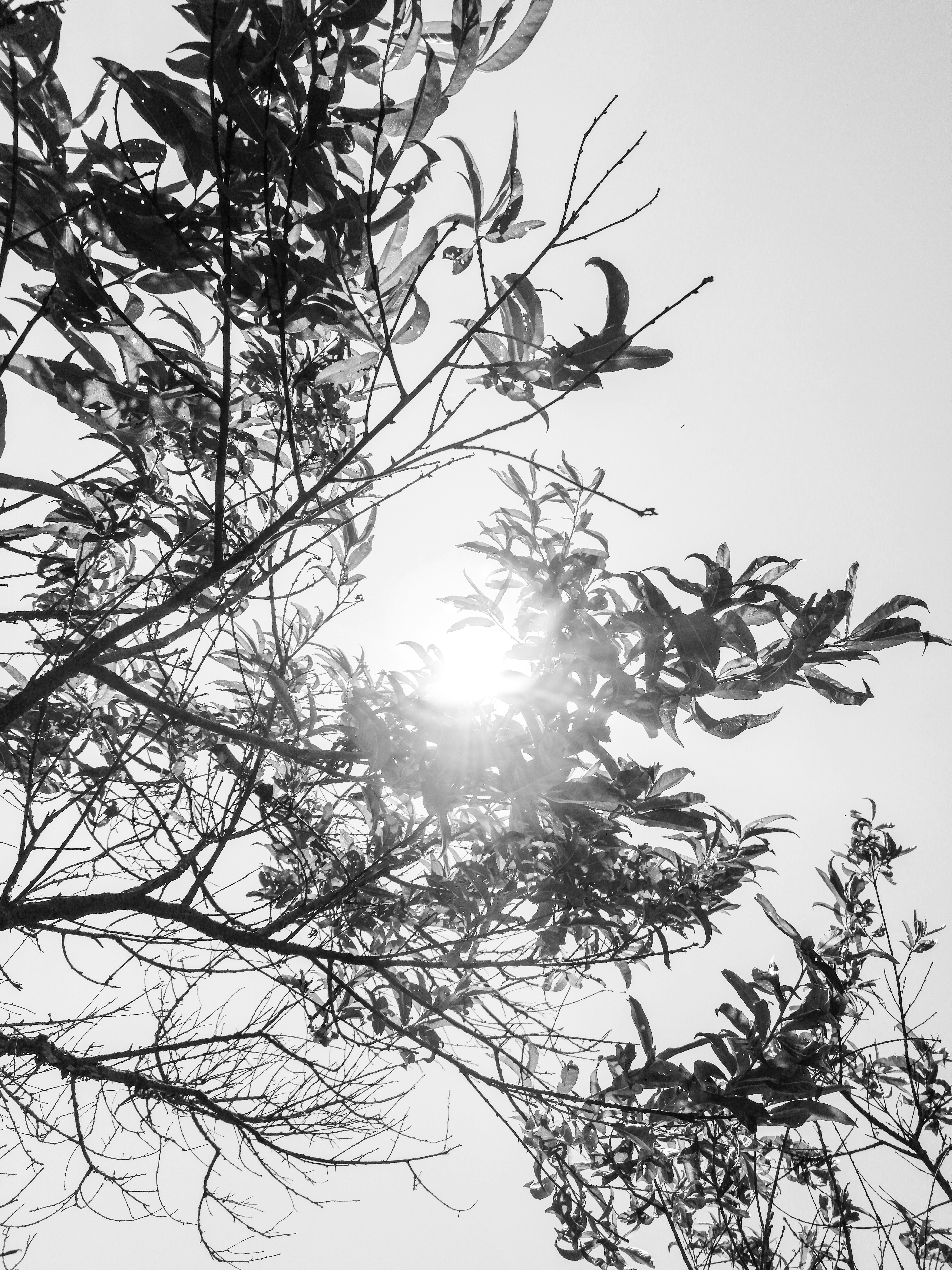 Photo by foreverbrody