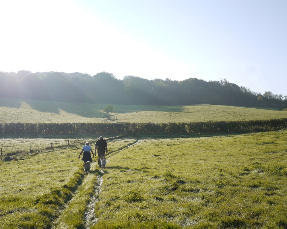 man and woman walking towards green mountains