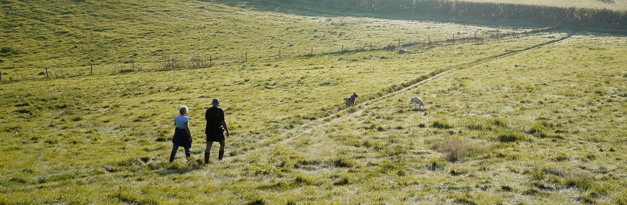 two people walking in pathway on green field