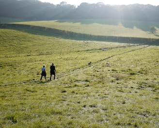 two people walking in pathway on green field