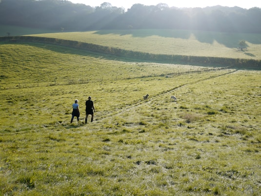 two people walking in pathway on green field