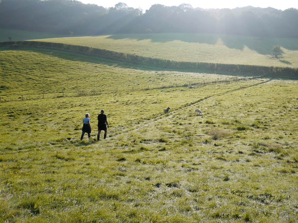 two people walking in pathway on green field