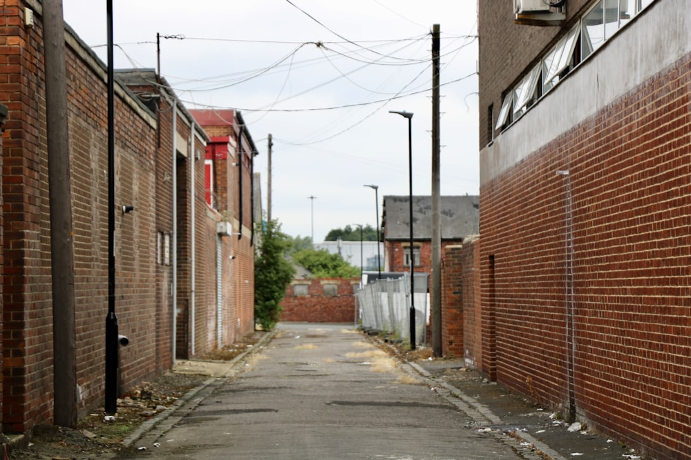 no people walking at the alley during daytime