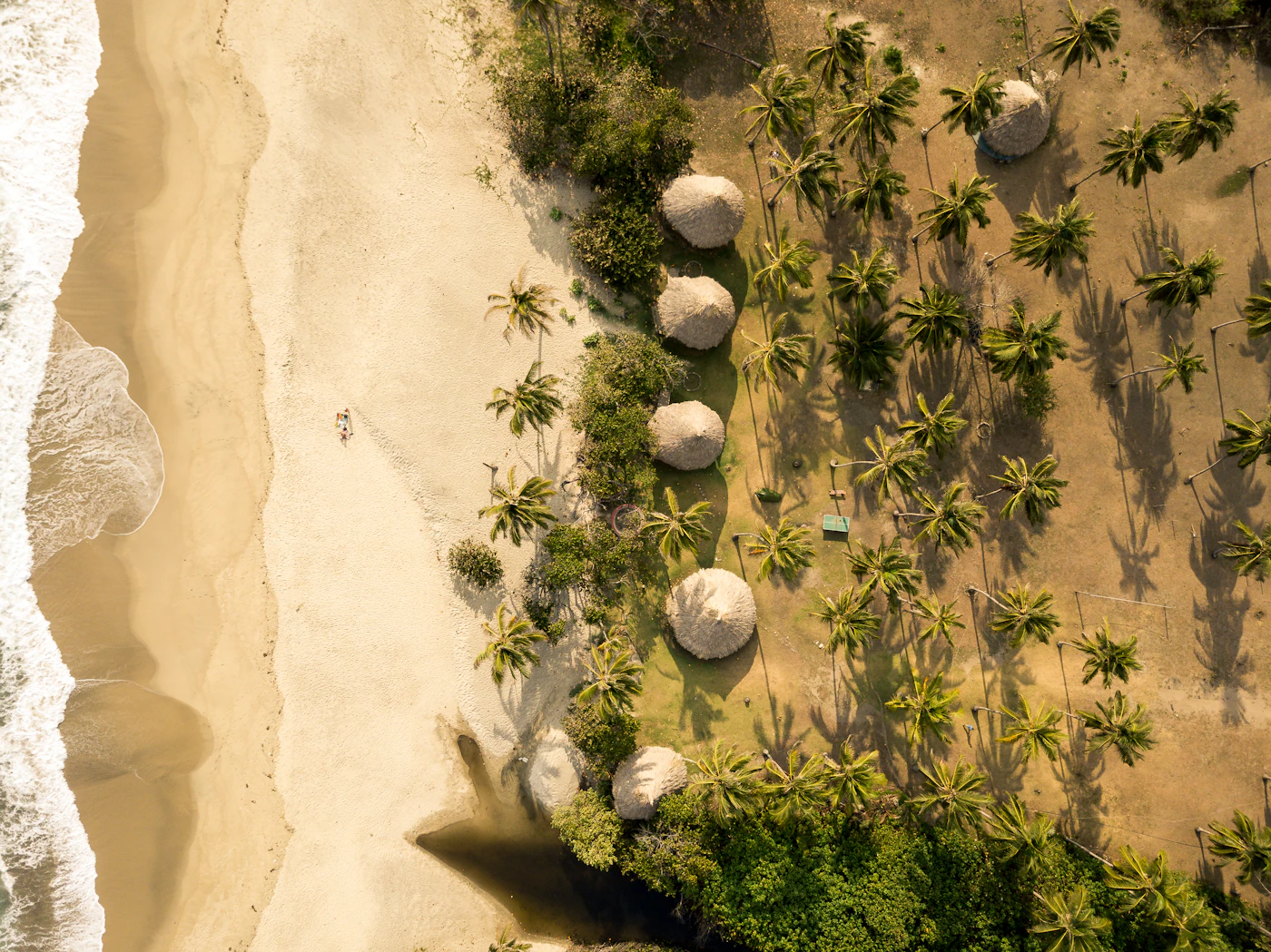 An aerial view of a Tayrona coconut grove meeting golden sand and turquoise surf