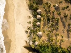 An aerial view of a tropical beach with clear waves crashing onto the sand on the left. On the right, a line of thatched-roof huts is surrounded by numerous palm trees casting long shadows in the sunlight. The landscape blends from sandy beach to green vegetation.