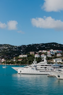 A picturesque view of a yacht with the coastline in the background.