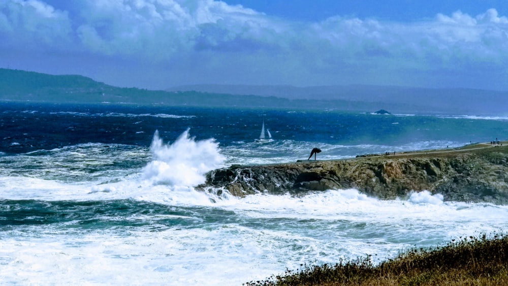 photography of seashore during daytime