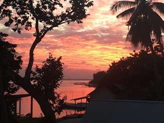 Sunset over the mangroves of Tumbes with vibrant orange sky reflecting on calm waters