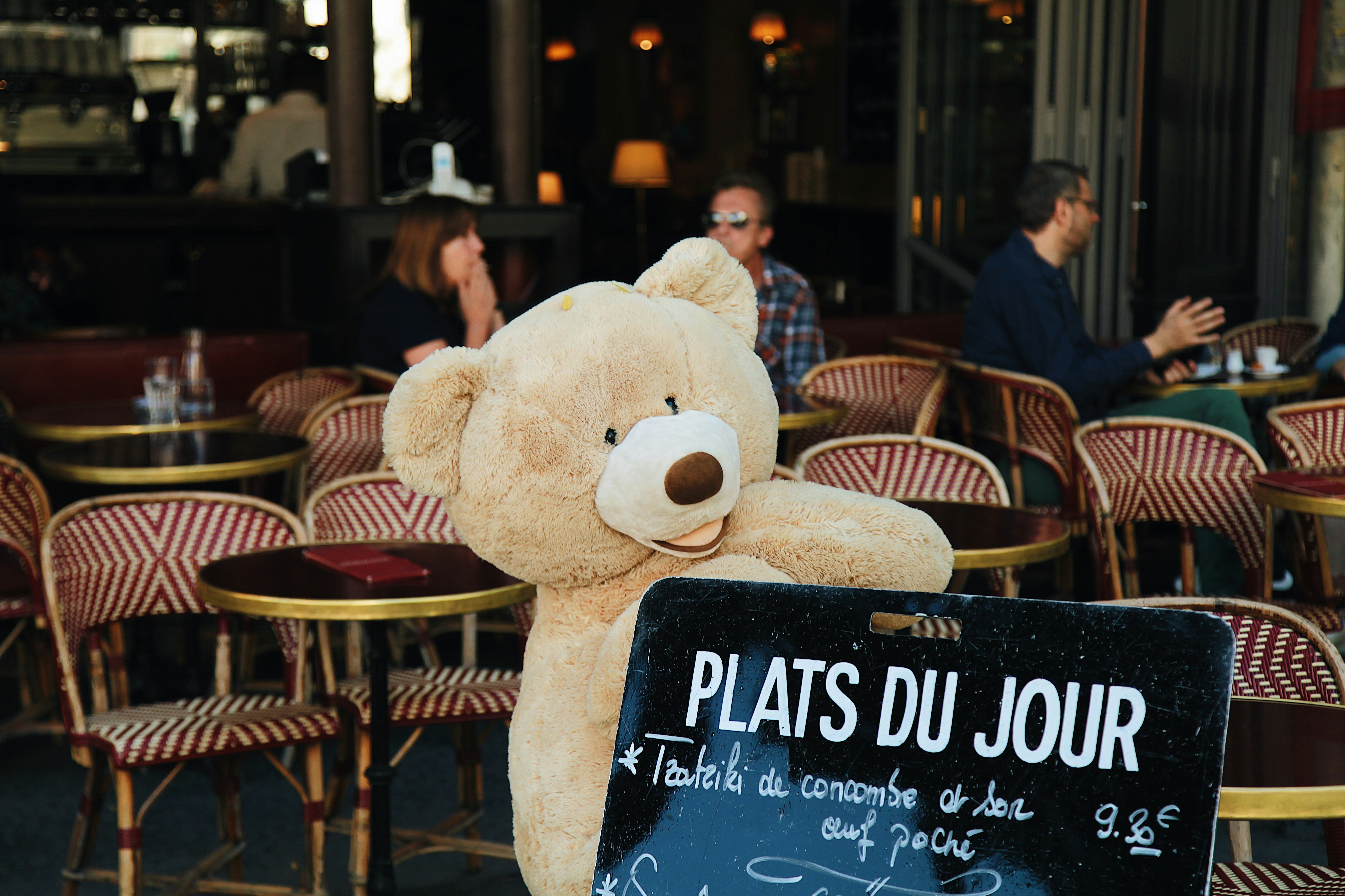 teddy bear beside plats du jour signage