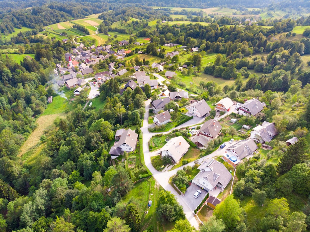 aerial photography of buildings surrounded by green trees during daytime