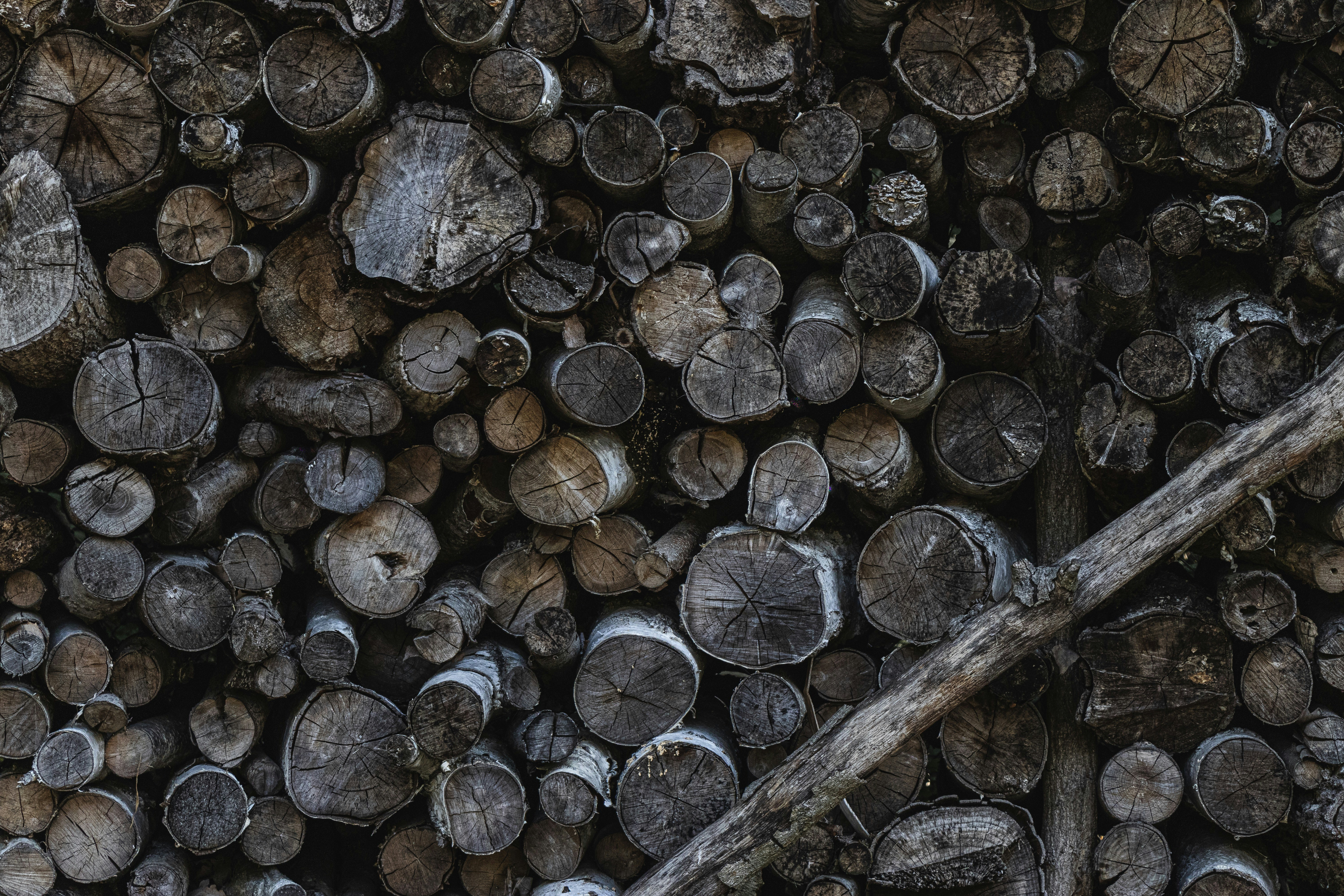 Photo by arthur_edelmans