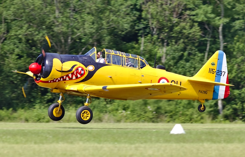 yellow and black plane near green field