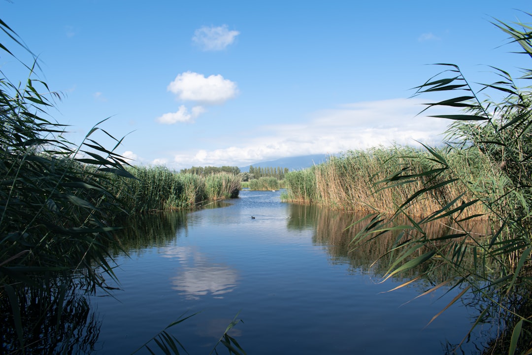 Nature reserve photo spot Champ Pittet Oeschinensee