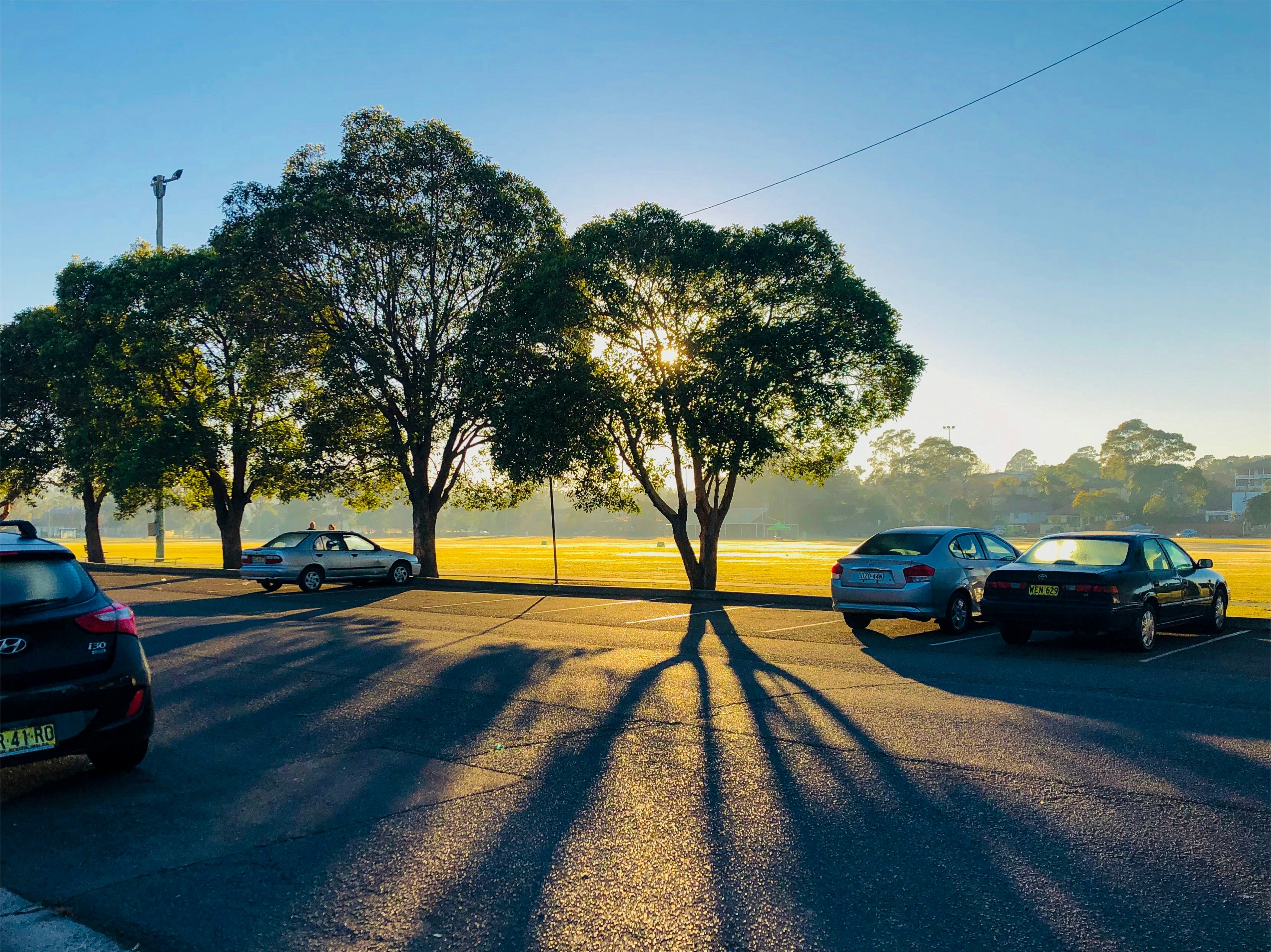 Lidcombe, New South Wales
