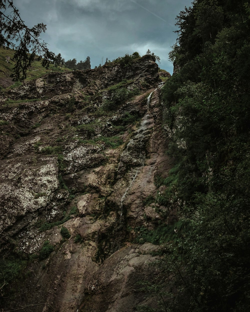 cliff in forest