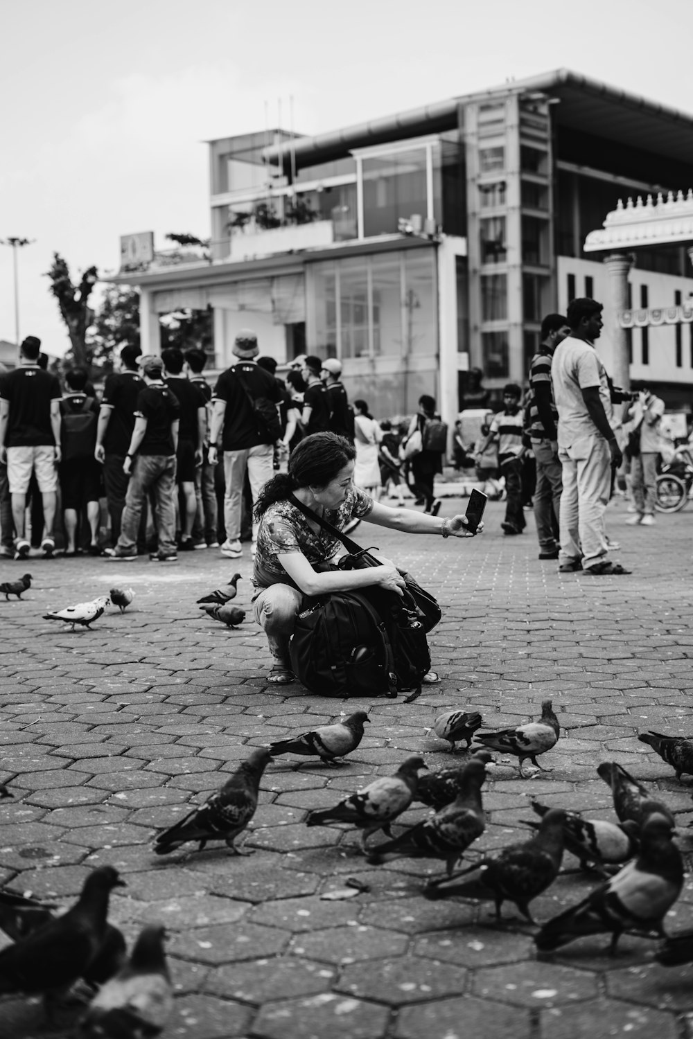 grayscale photography of woman sitting in front of pigeons