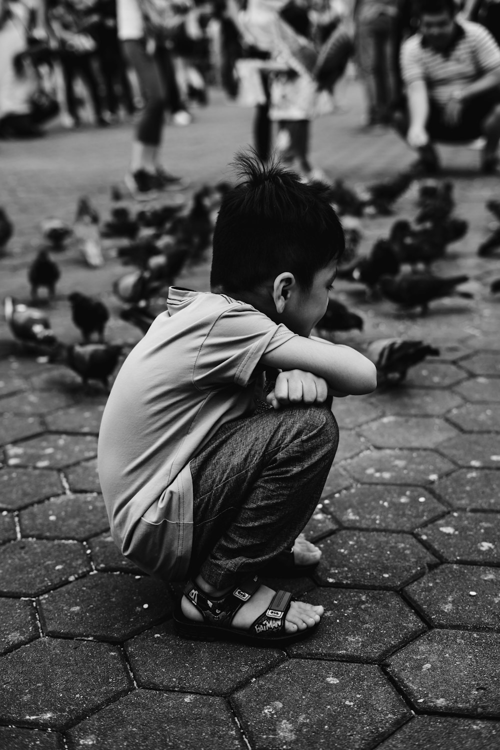 grayscale photography of boy sitting and watching pigeons