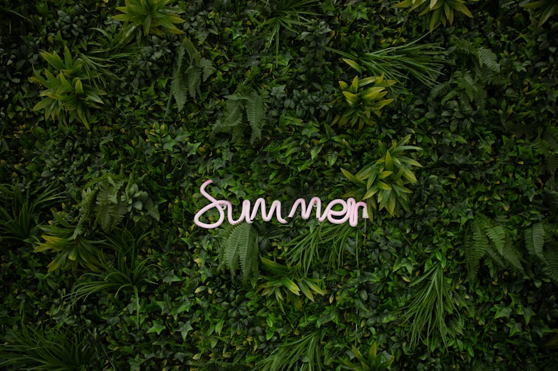 Summerfashion