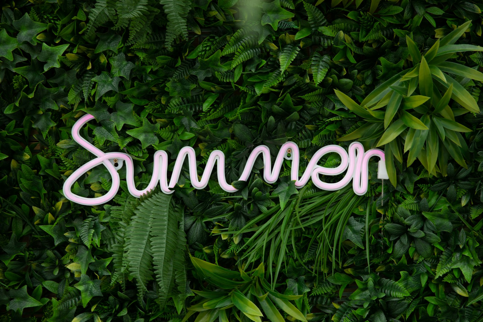 The Southern Alberta Summer Sweet Spot for Selling