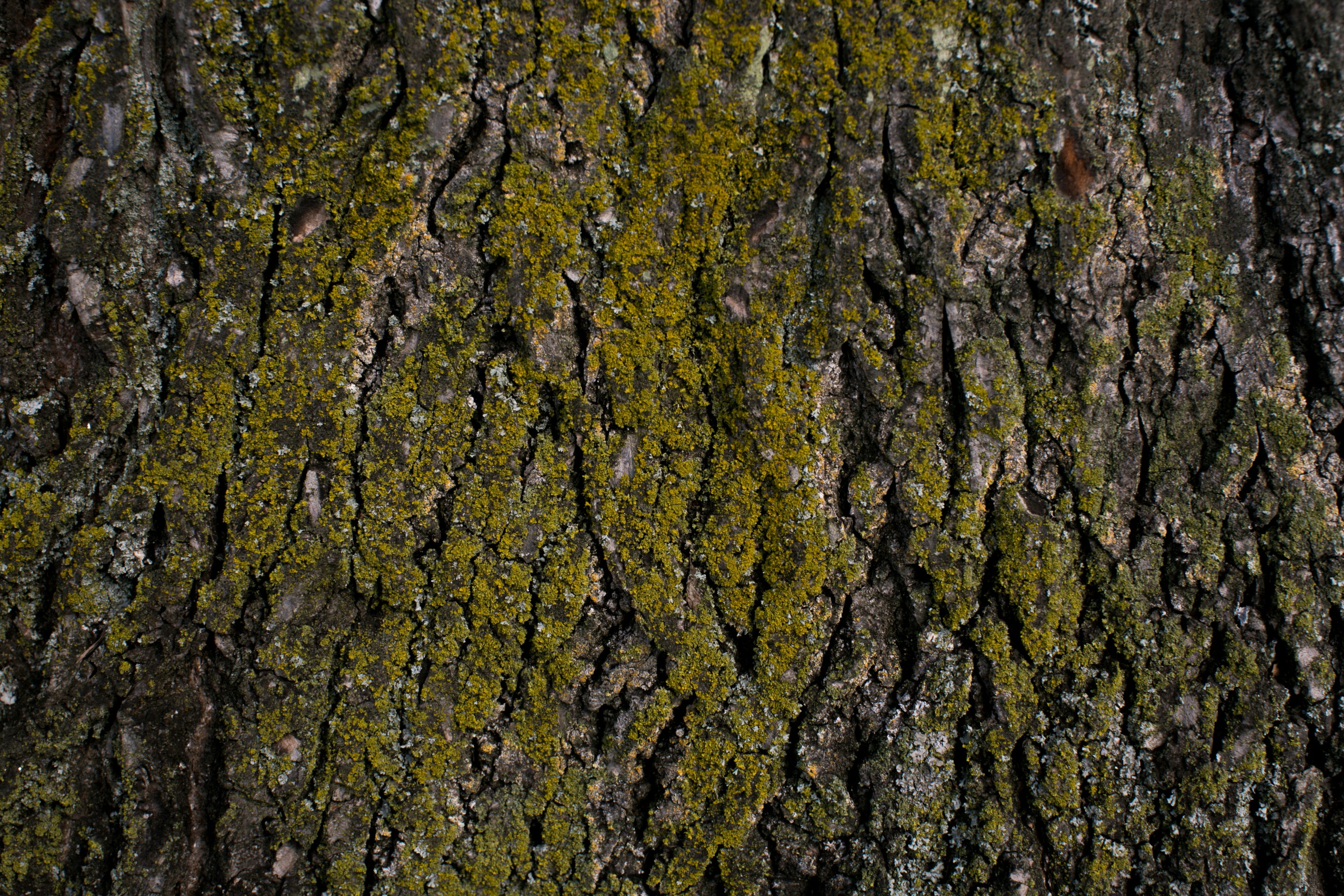 Photo by blackprojection