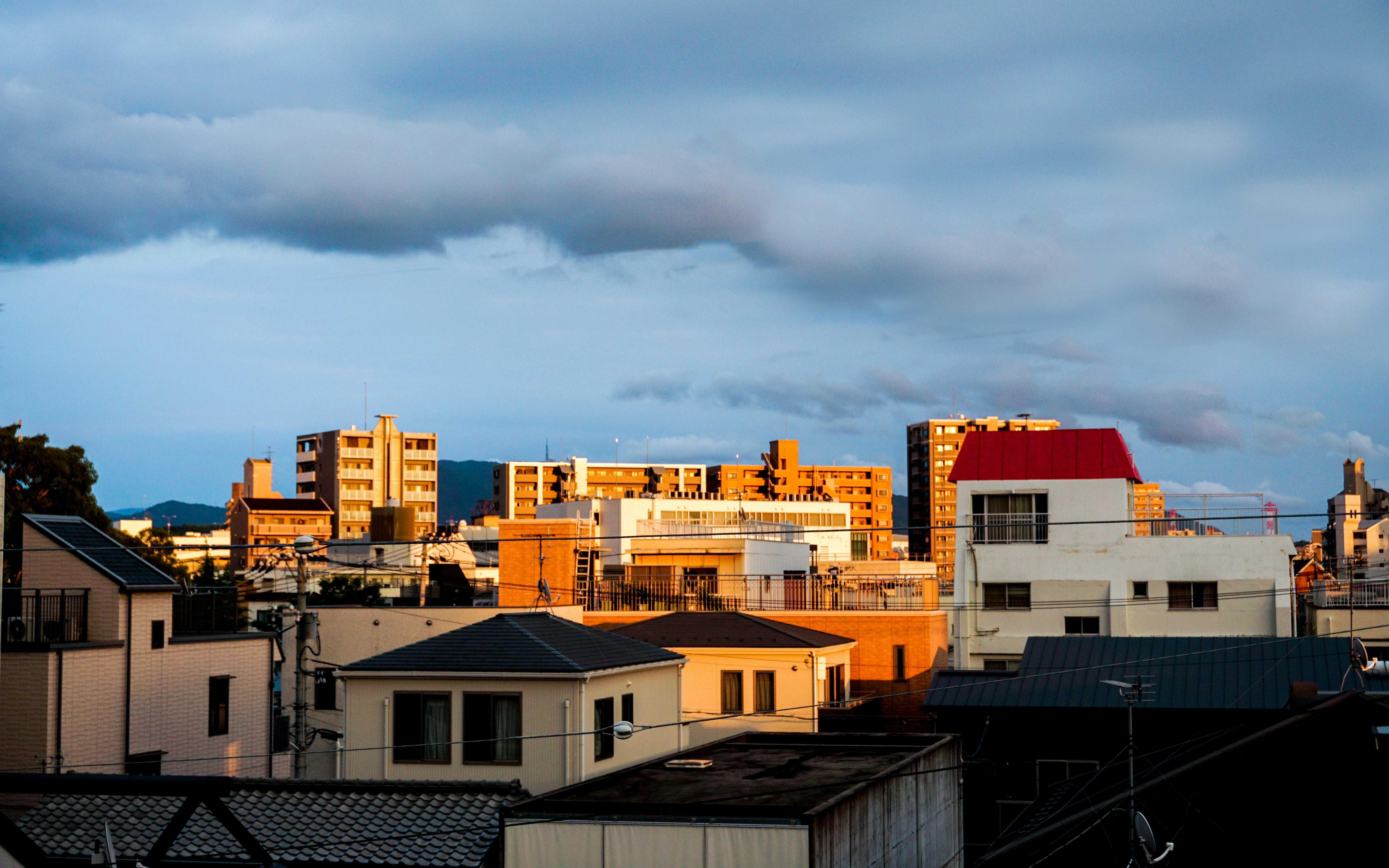 Photo by cosmonaut647