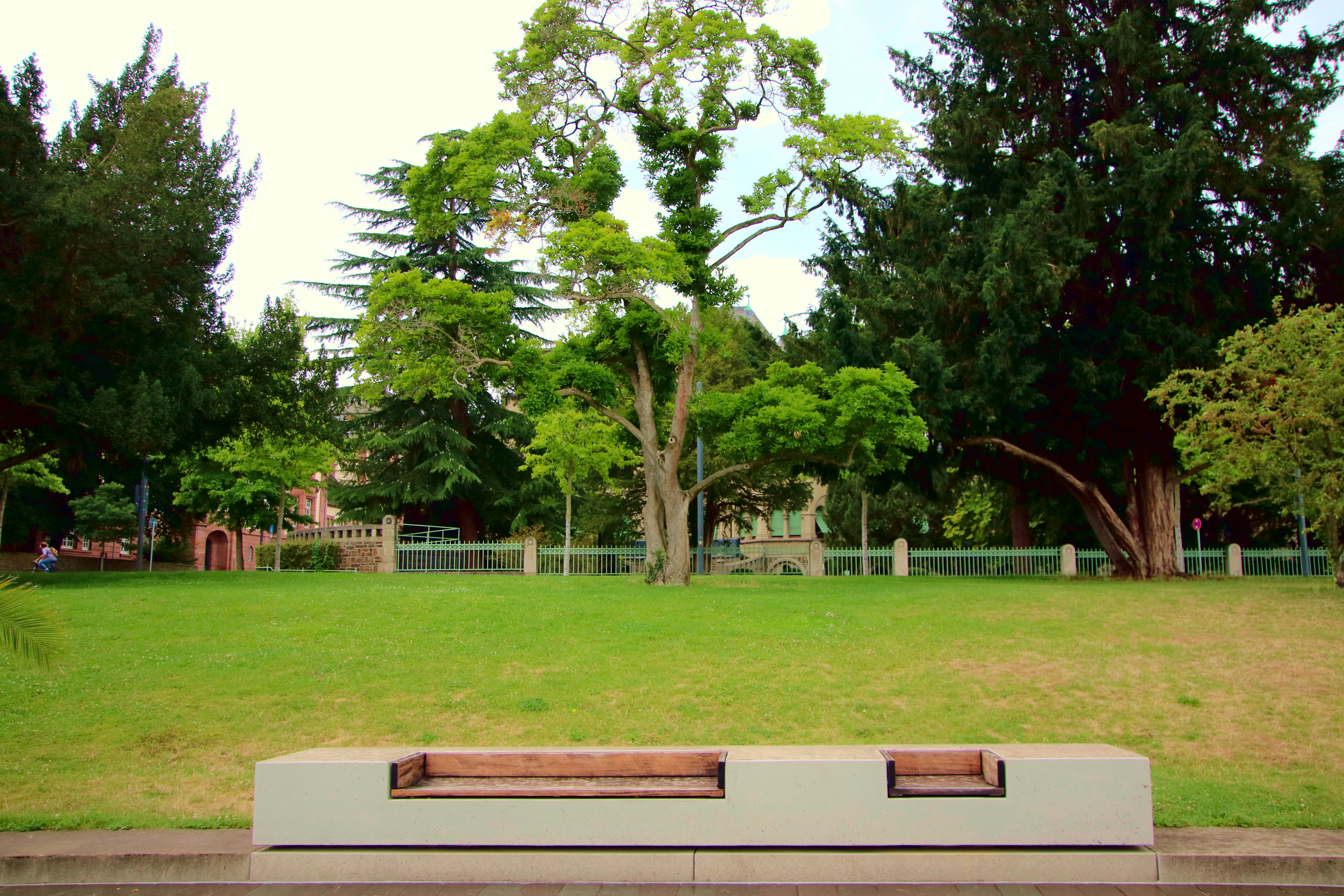 Is There A Playground At Vasona Park?