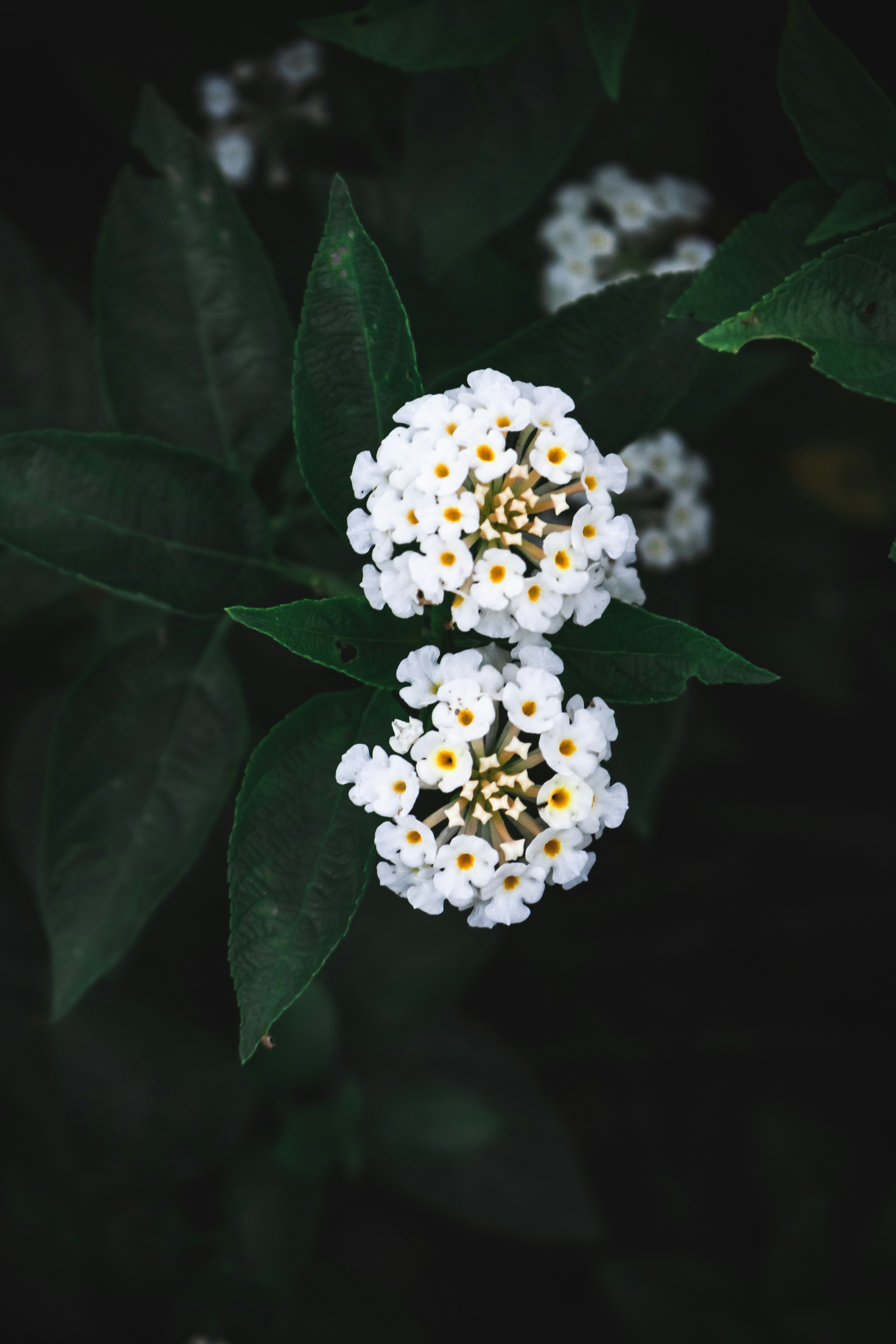 Photo by andywang02021