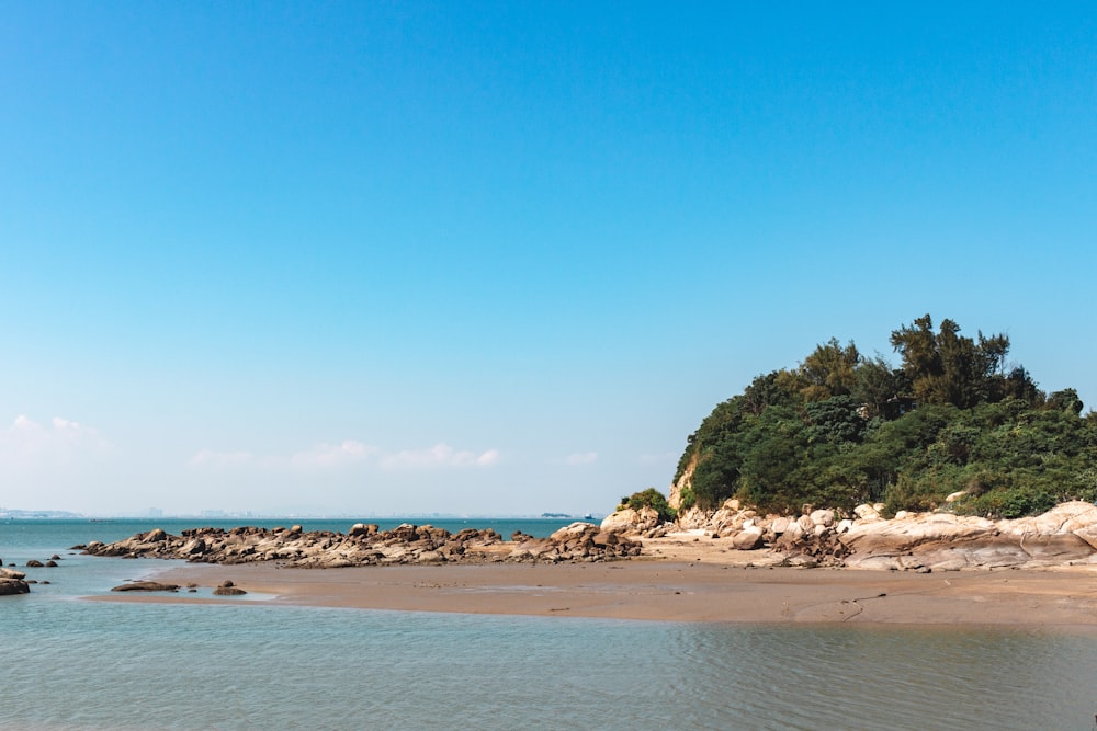 Bord de mer sous ciel bleu