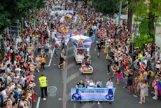 people in parade during daytime