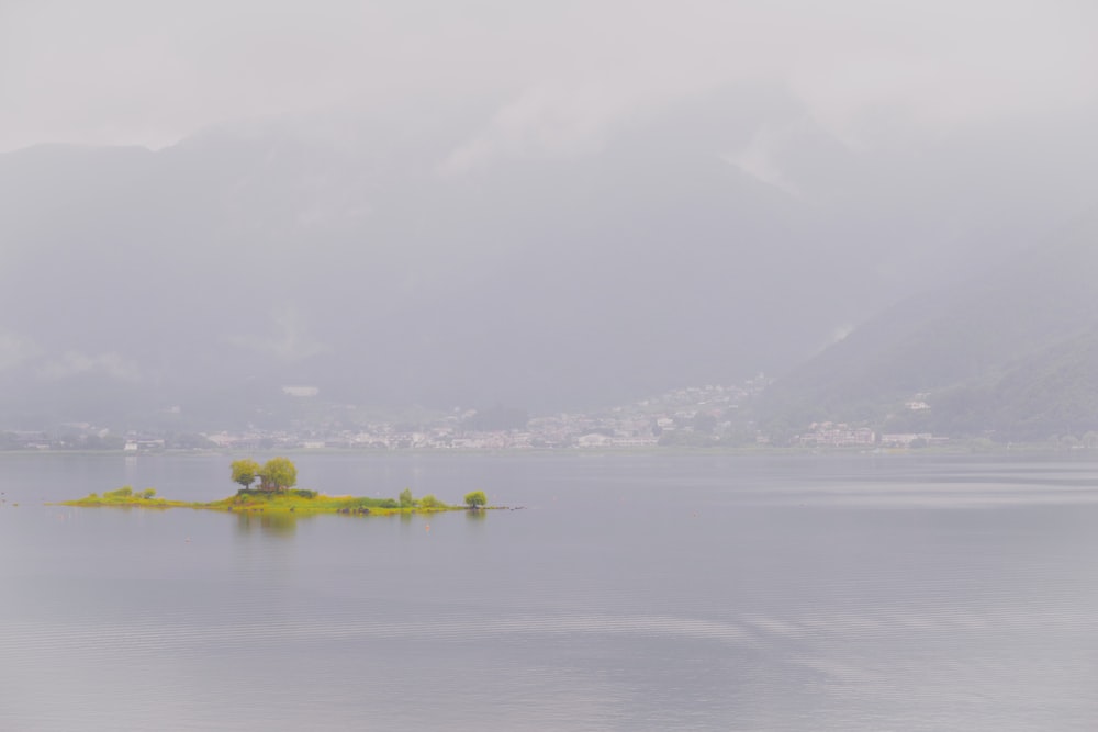 L’île verte pendant la journée