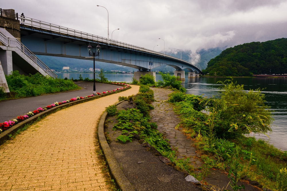 gray concrete road viewing lake and bridge under white cloudy skies