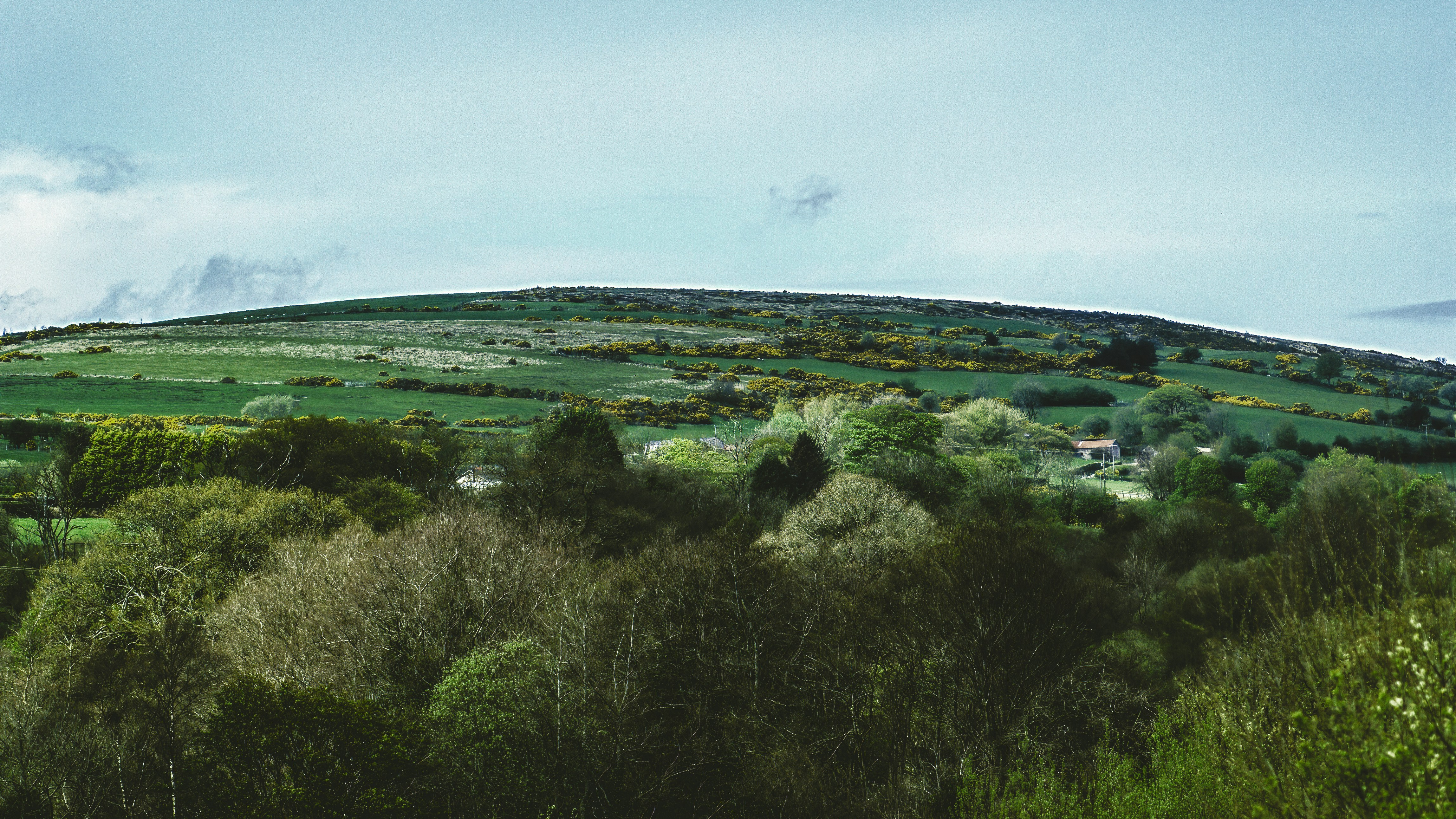 Photo by kmitchhodge