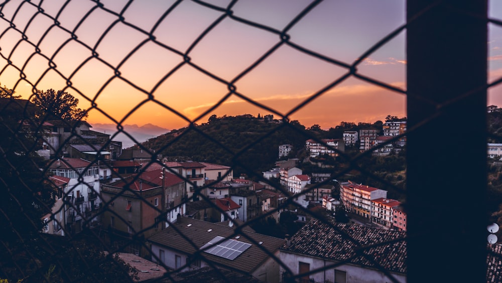 barbed wire fence