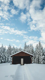 A cozy mountain cabin surrounded by snow-covered trees under a clear blue sky.